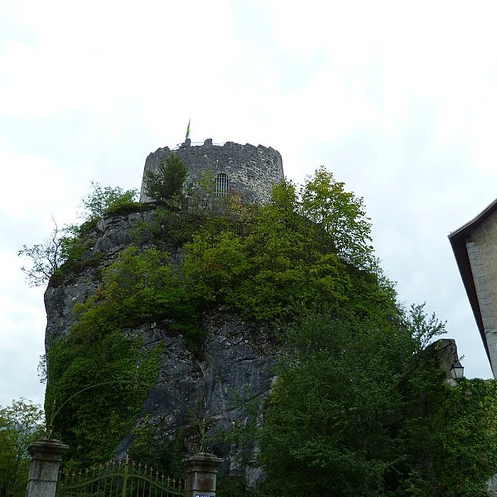 Photo de Tour des Comtes de Genève de La Roche-sur-Foron