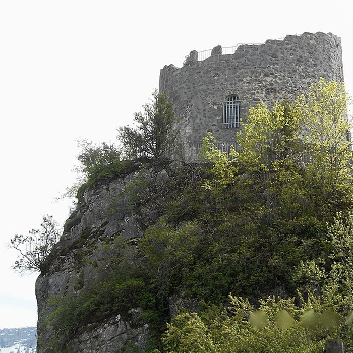 Photo de Tour des Comtes de Genève de La Roche-sur-Foron