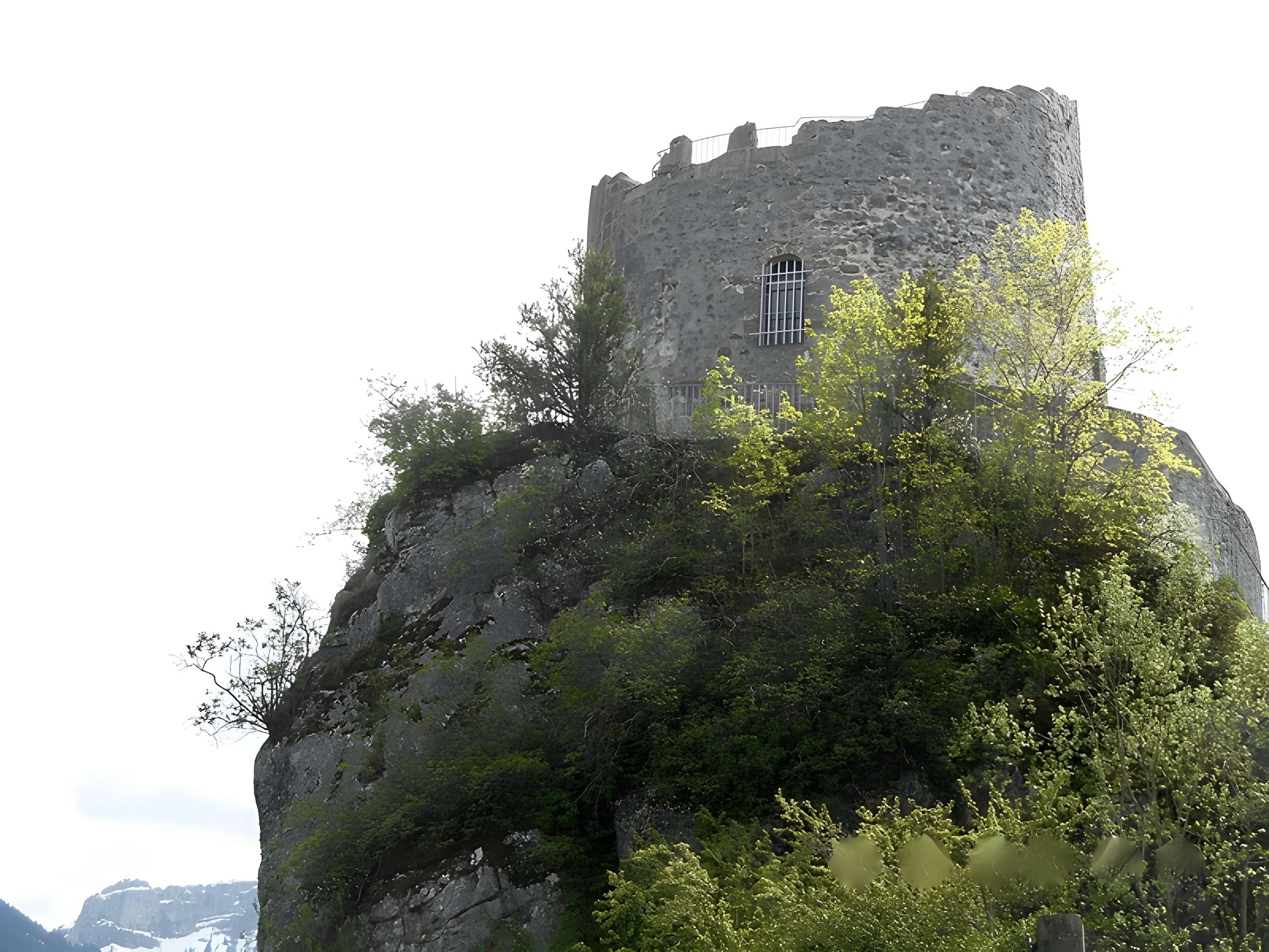 Tour des Comtes de Genève de La Roche-sur-Foron
