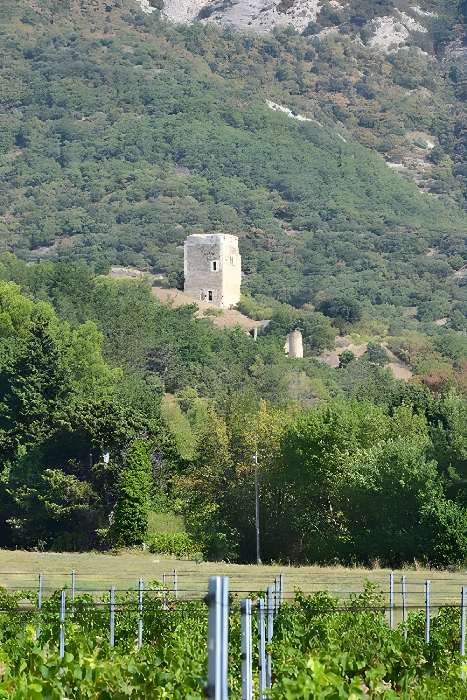 Tour dite d'Alençon de Roche-Saint-Secret-Béconne