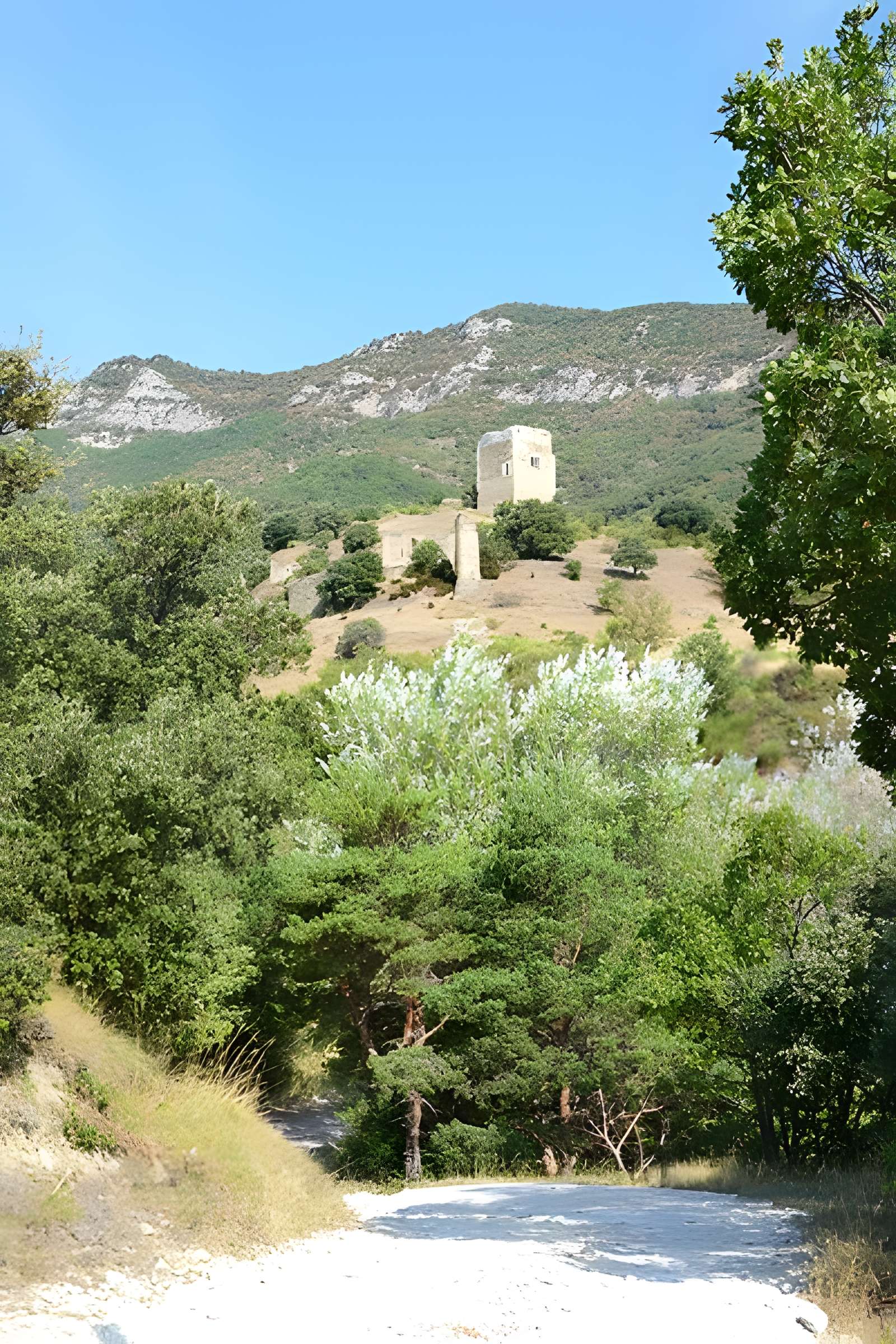 Tour dite d'Alençon de Roche-Saint-Secret-Béconne