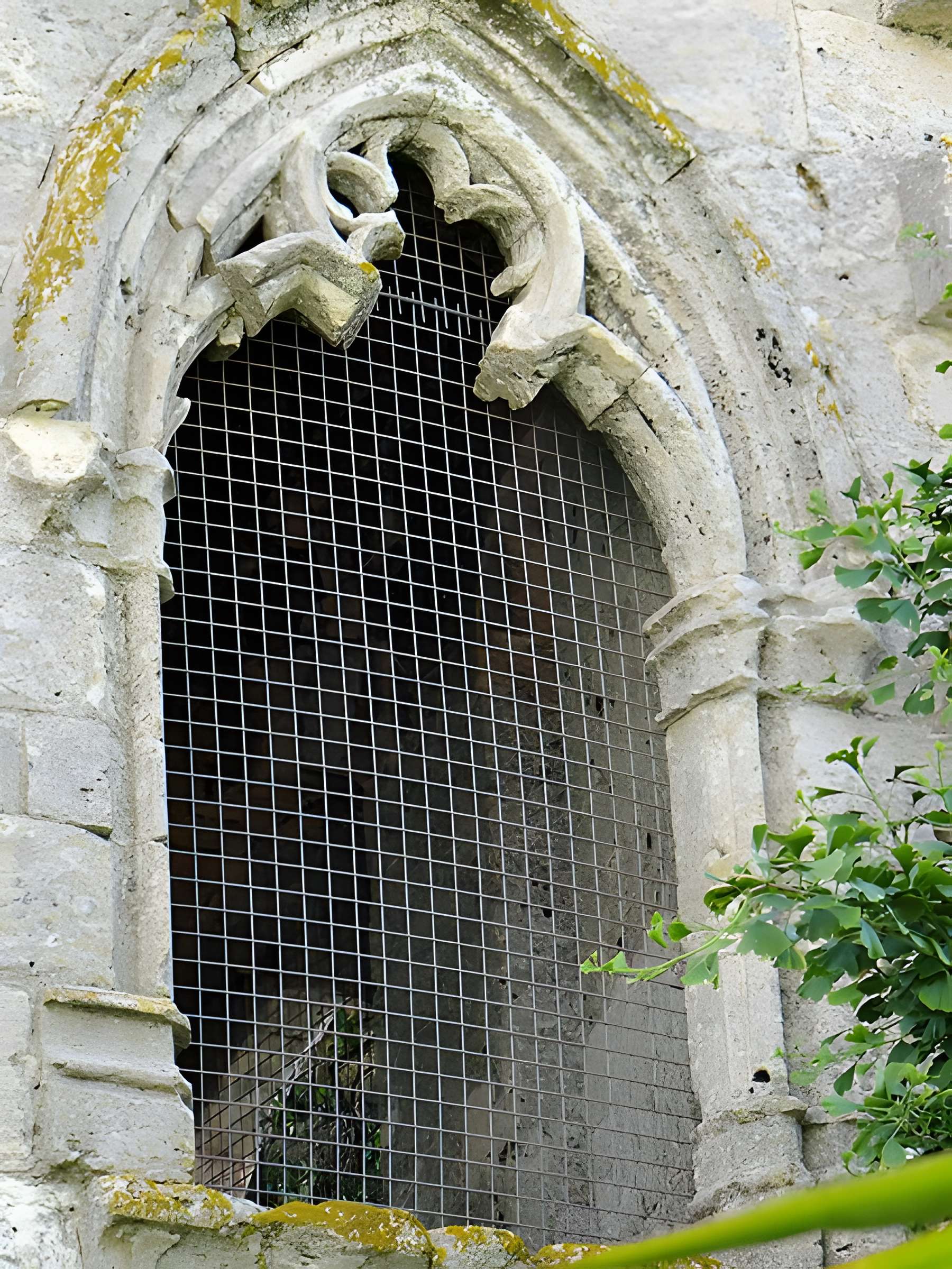Tour du Cardinal d'Aux de la Romieu