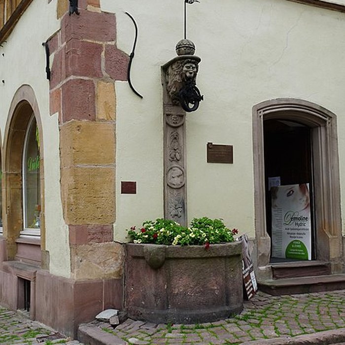 Photo de Maison Adolph à Colmar