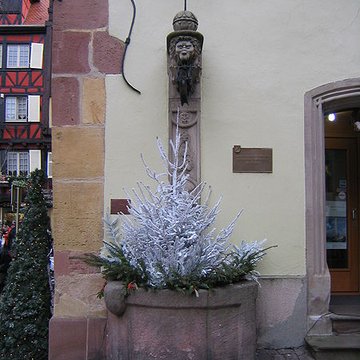 Maison Adolph à Colmar