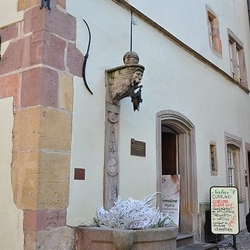 Maison Adolph à Colmar