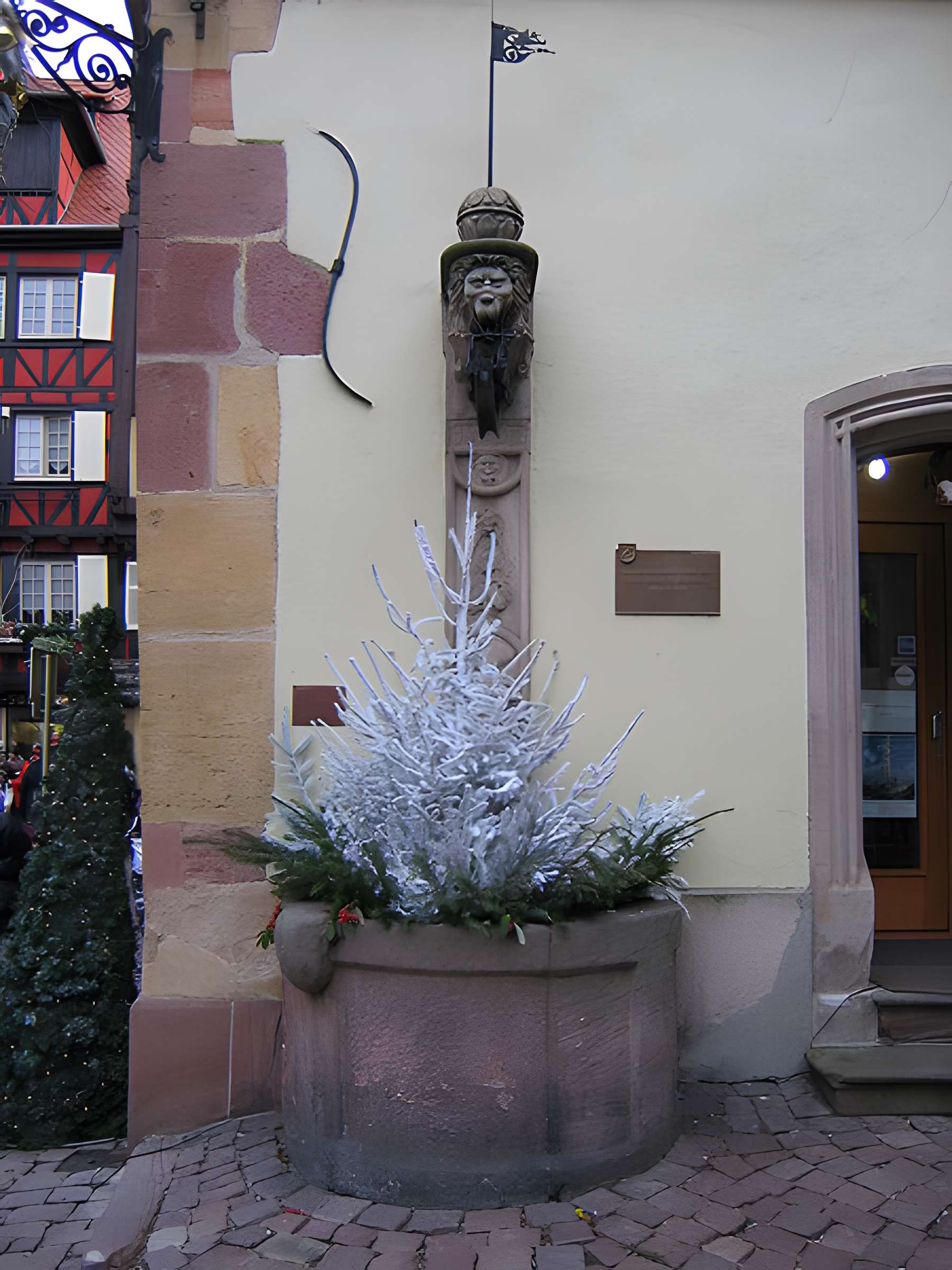 Maison Adolph à Colmar