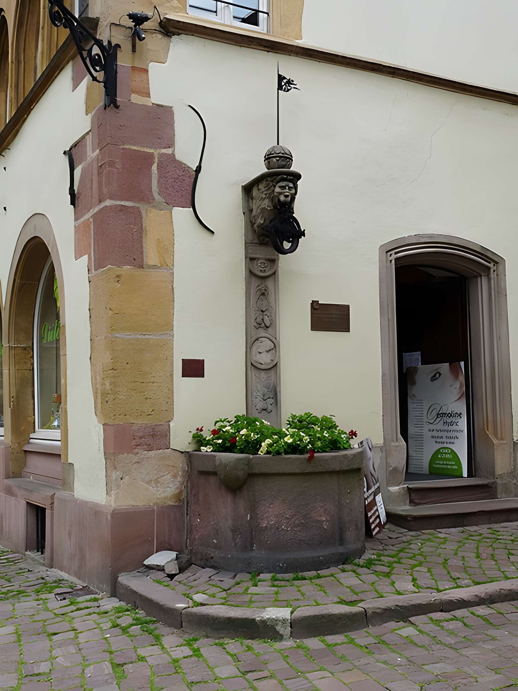 Maison Adolph à Colmar