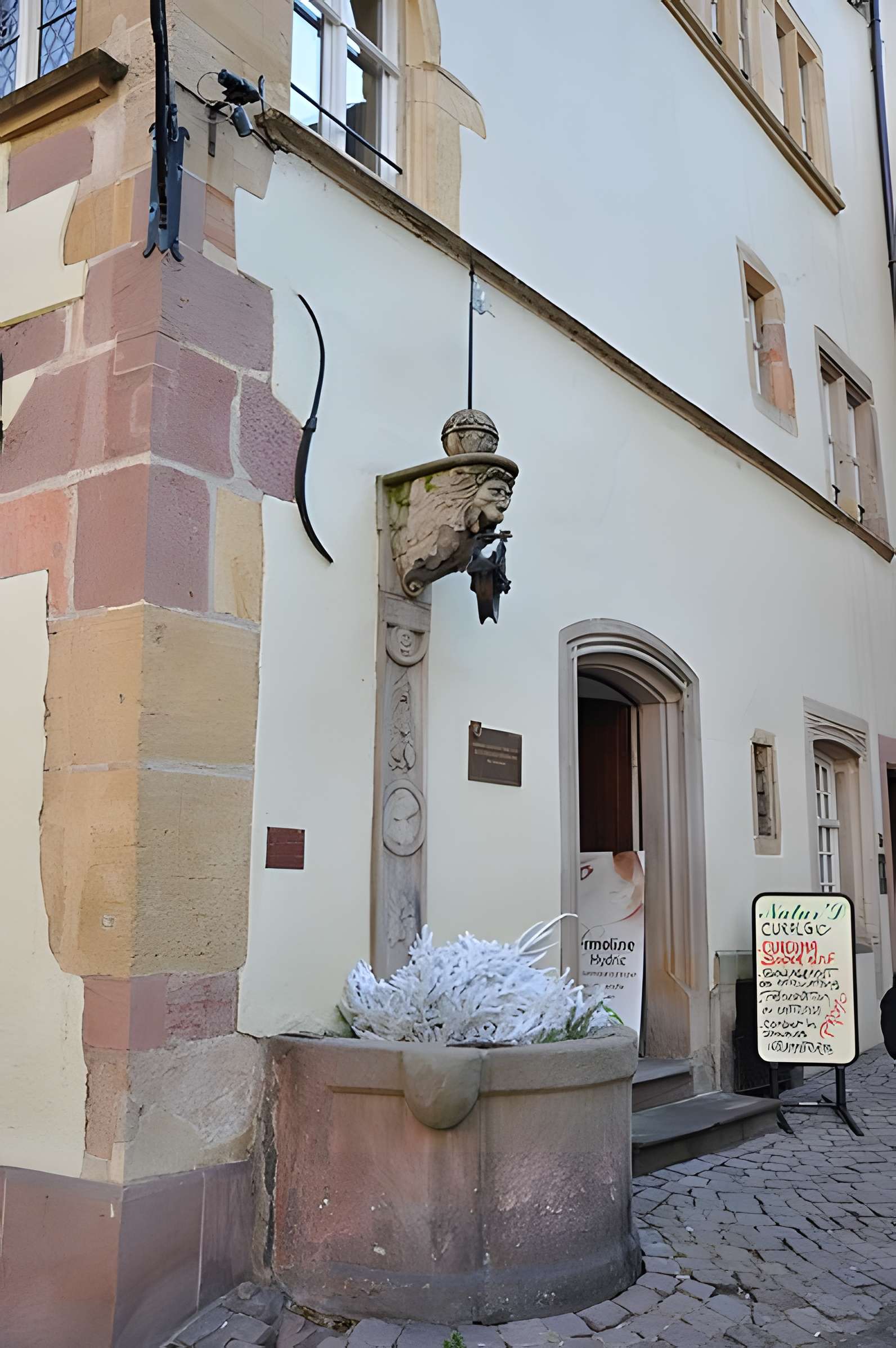 Maison Adolph à Colmar