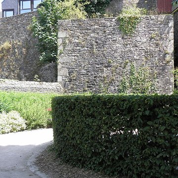 Tour du Papegaud de Fougères