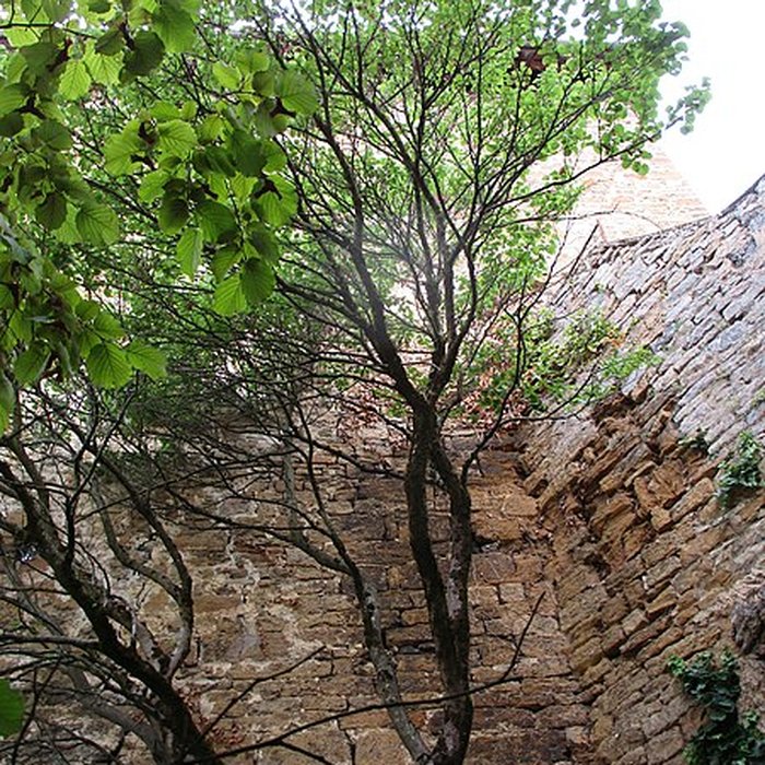 Photo de Tour Gloriette dArbois