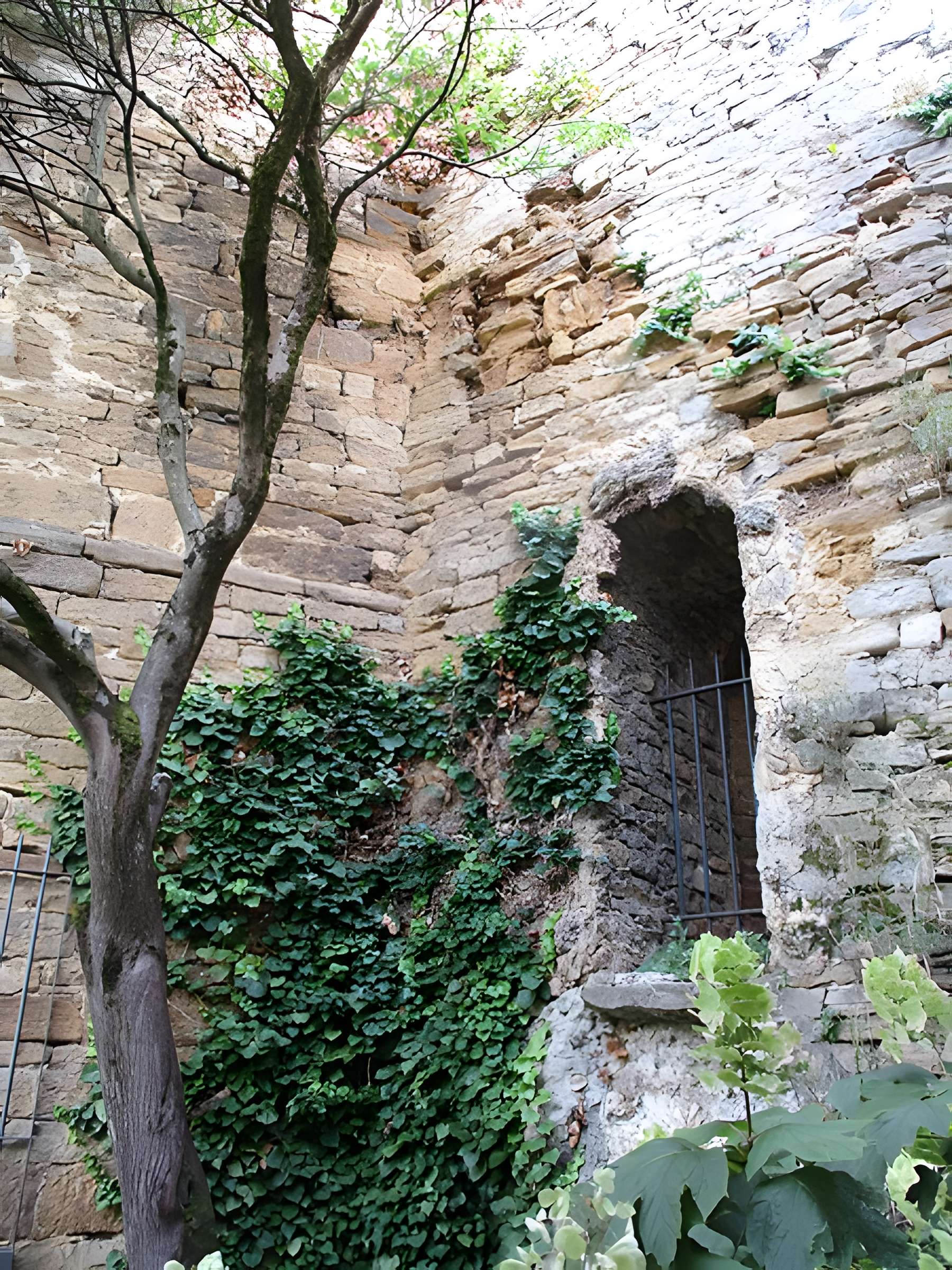 Tour Gloriette d'Arbois