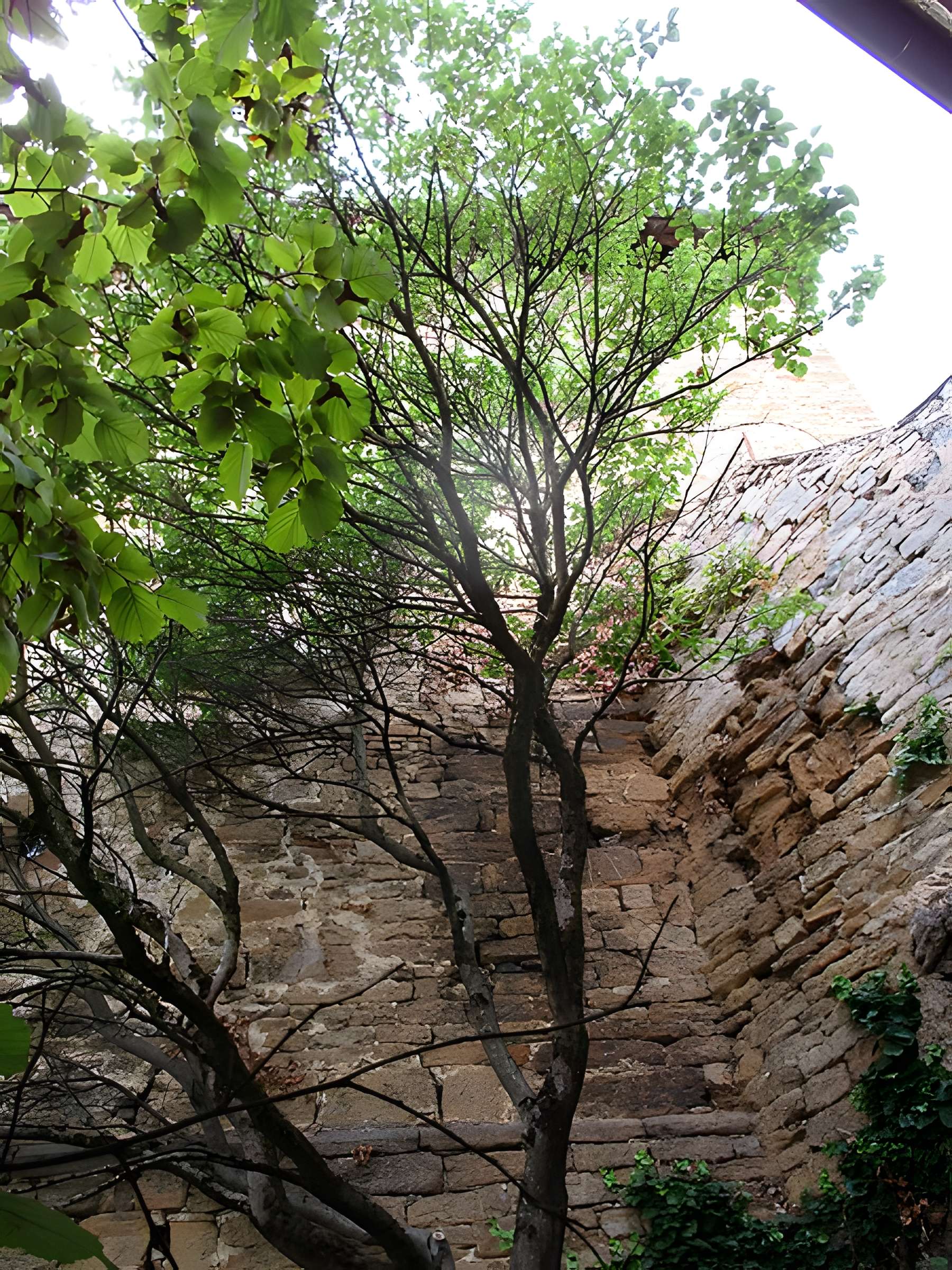 Tour Gloriette d'Arbois