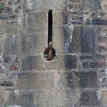 Tour Montfromery de Fougères