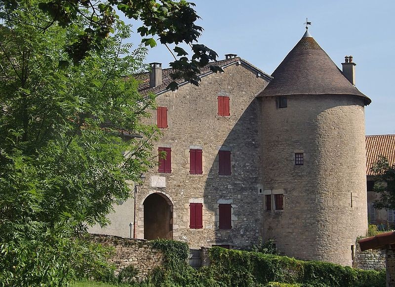 Photo de Tour Saint-Guillaume de Saint-Amour
