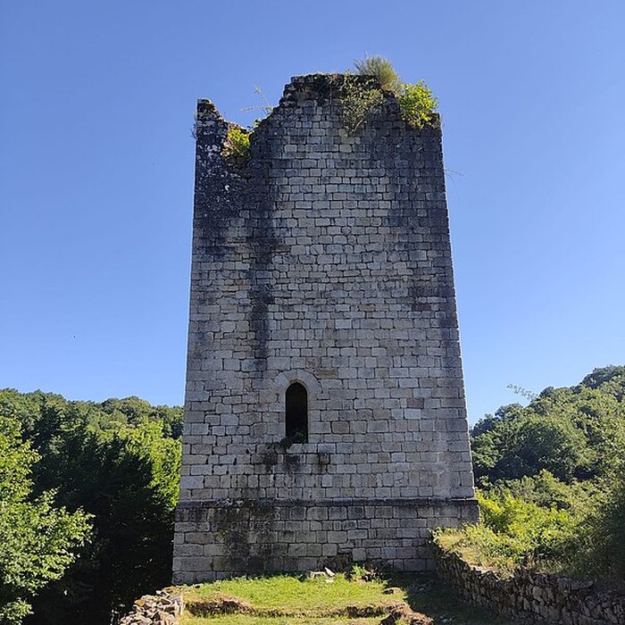 Photo de Tours des Carbonnières à Goulles