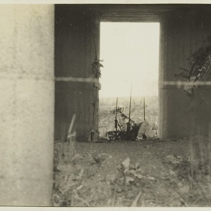 Photo de Tranchée des Baïonnettes de Douaumont