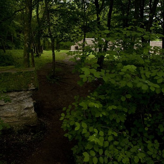Photo de Tranchée des Baïonnettes de Douaumont