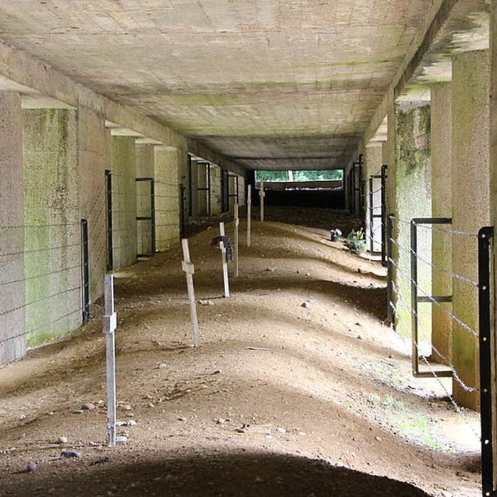 Photo de Tranchée des Baïonnettes de Douaumont
