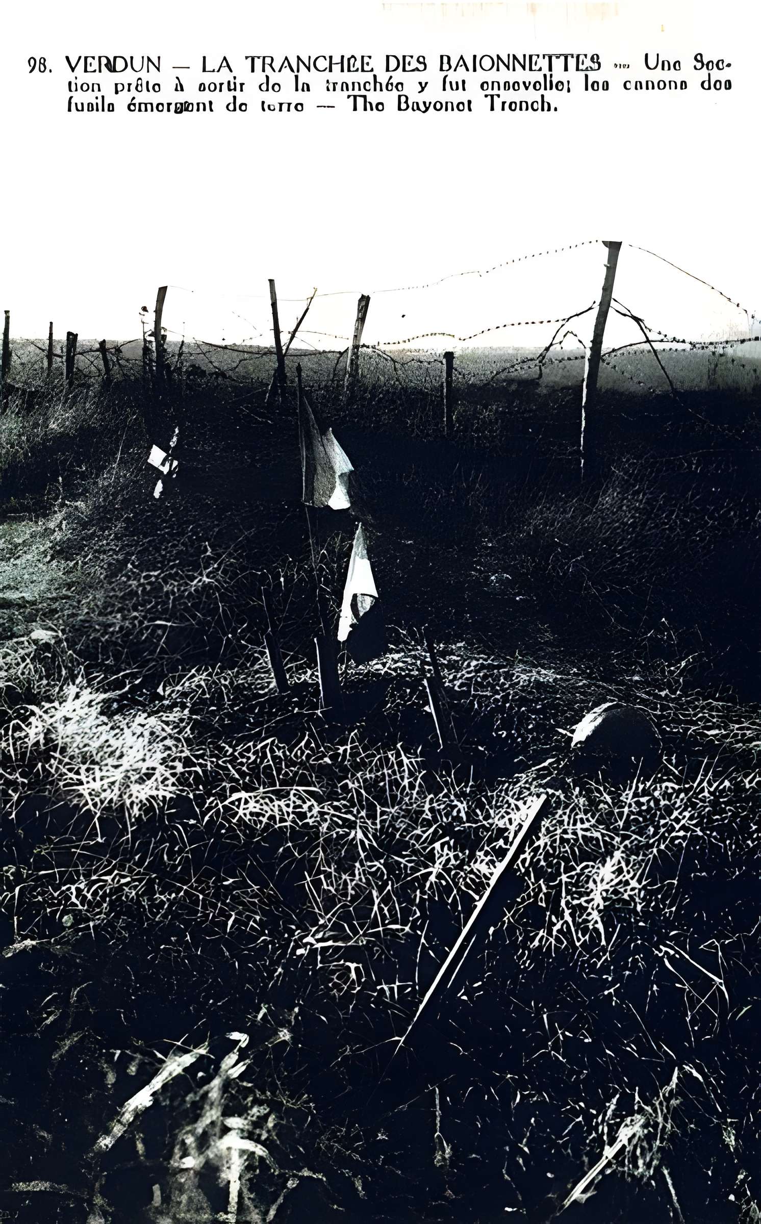 Tranchée des Baïonnettes de Douaumont