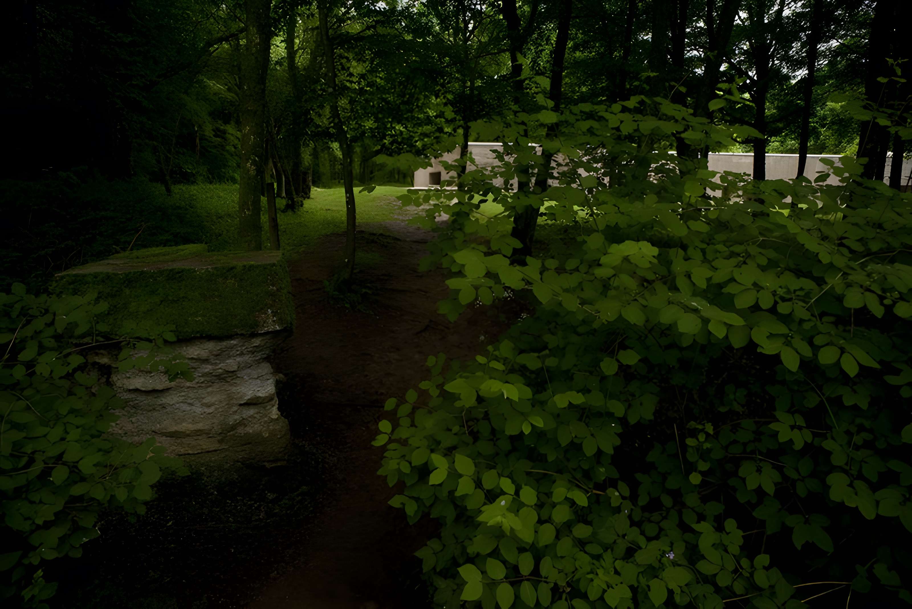 Tranchée des Baïonnettes de Douaumont