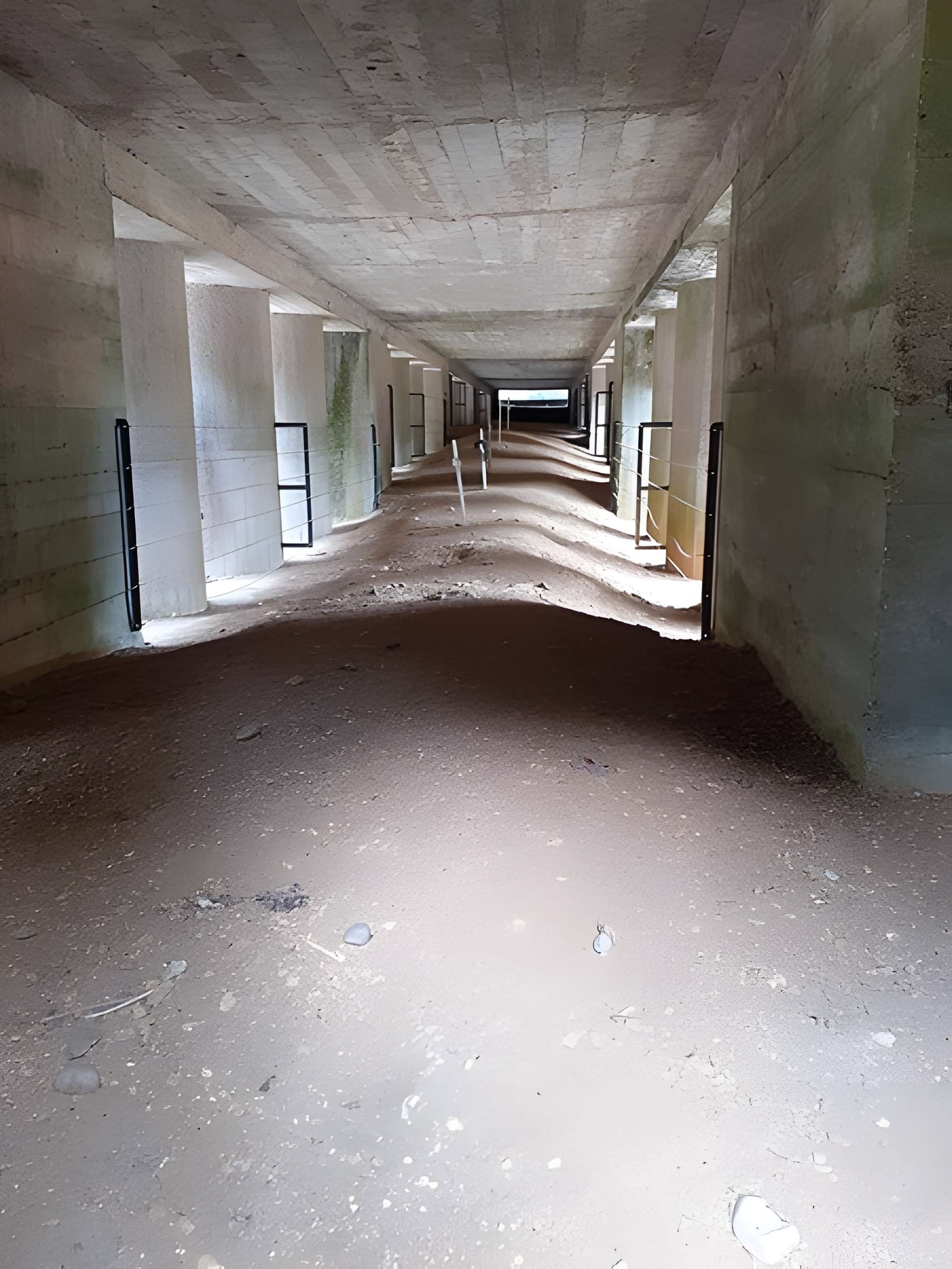 Tranchée des Baïonnettes de Douaumont