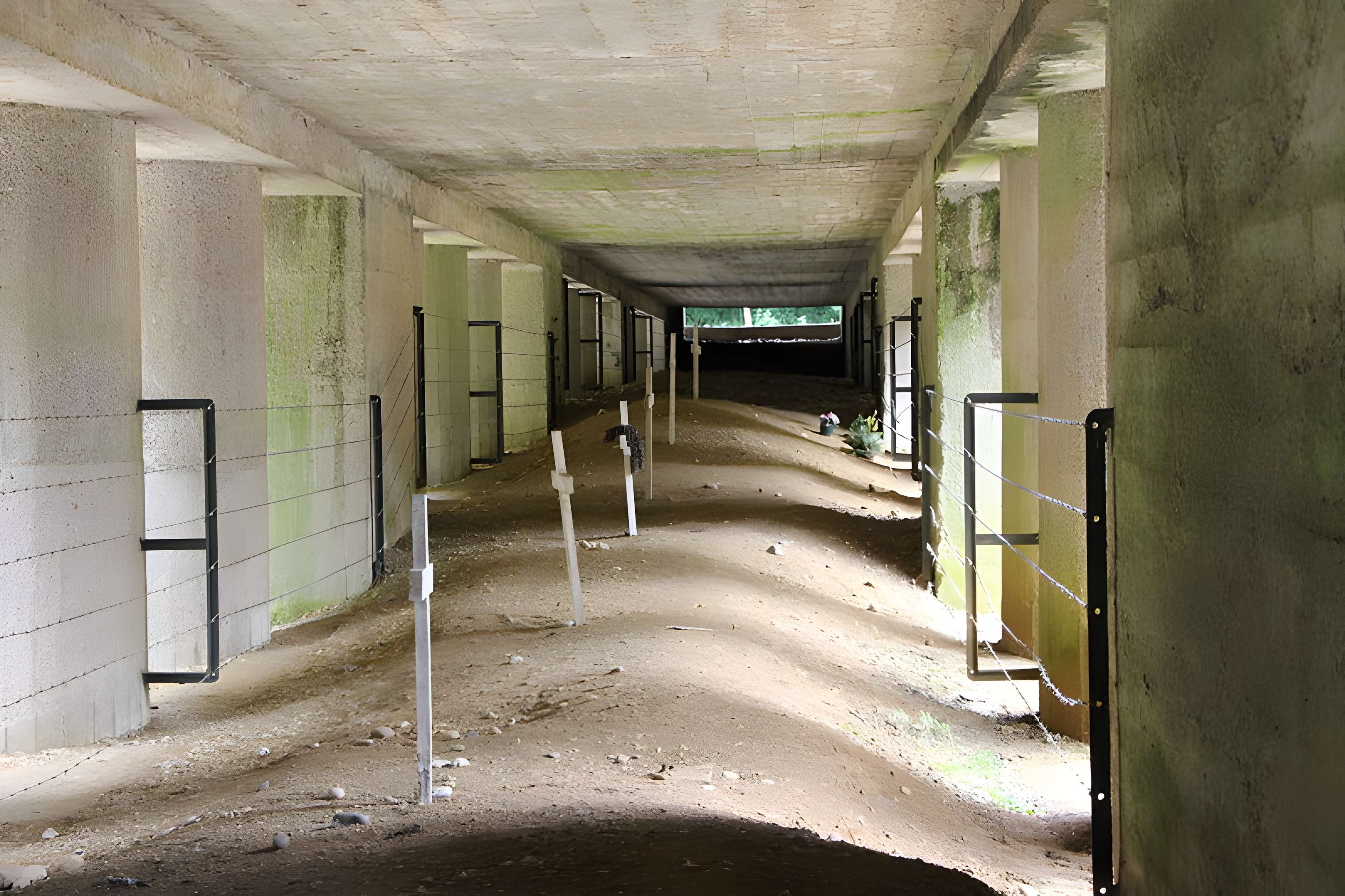 Tranchée des Baïonnettes de Douaumont