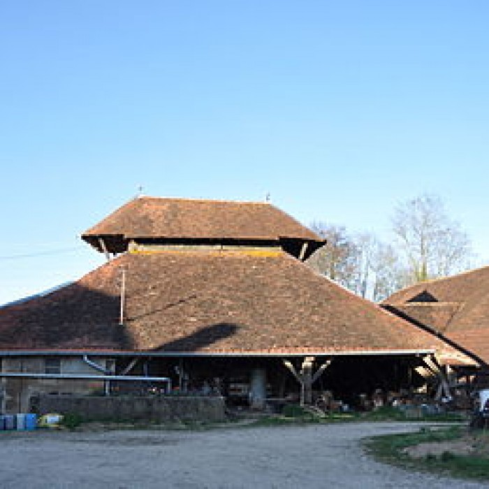 Photo de Tuilerie de Champtonnay