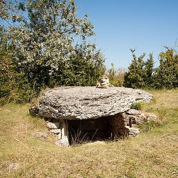 tumuli dolmens du mont de senne a dezize les maranges