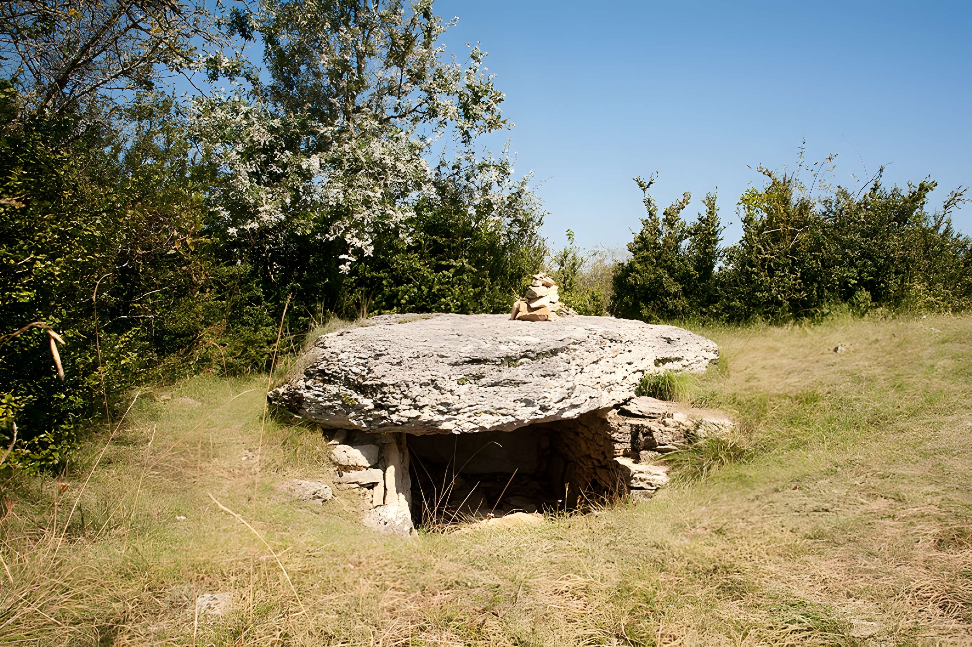 Tumuli-dolmens du Mont-de-Senne à Dezize-lès-Maranges