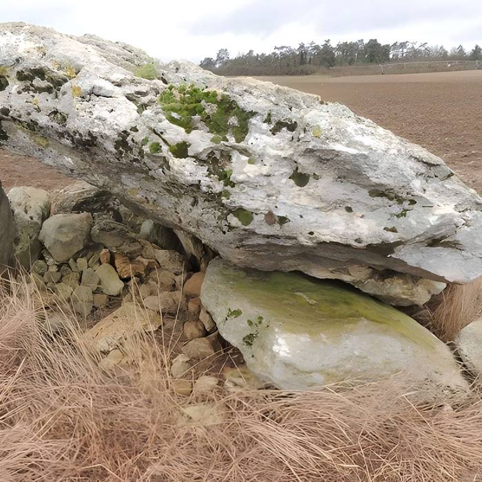 Photo de Tumulus mégalithique de Menainville