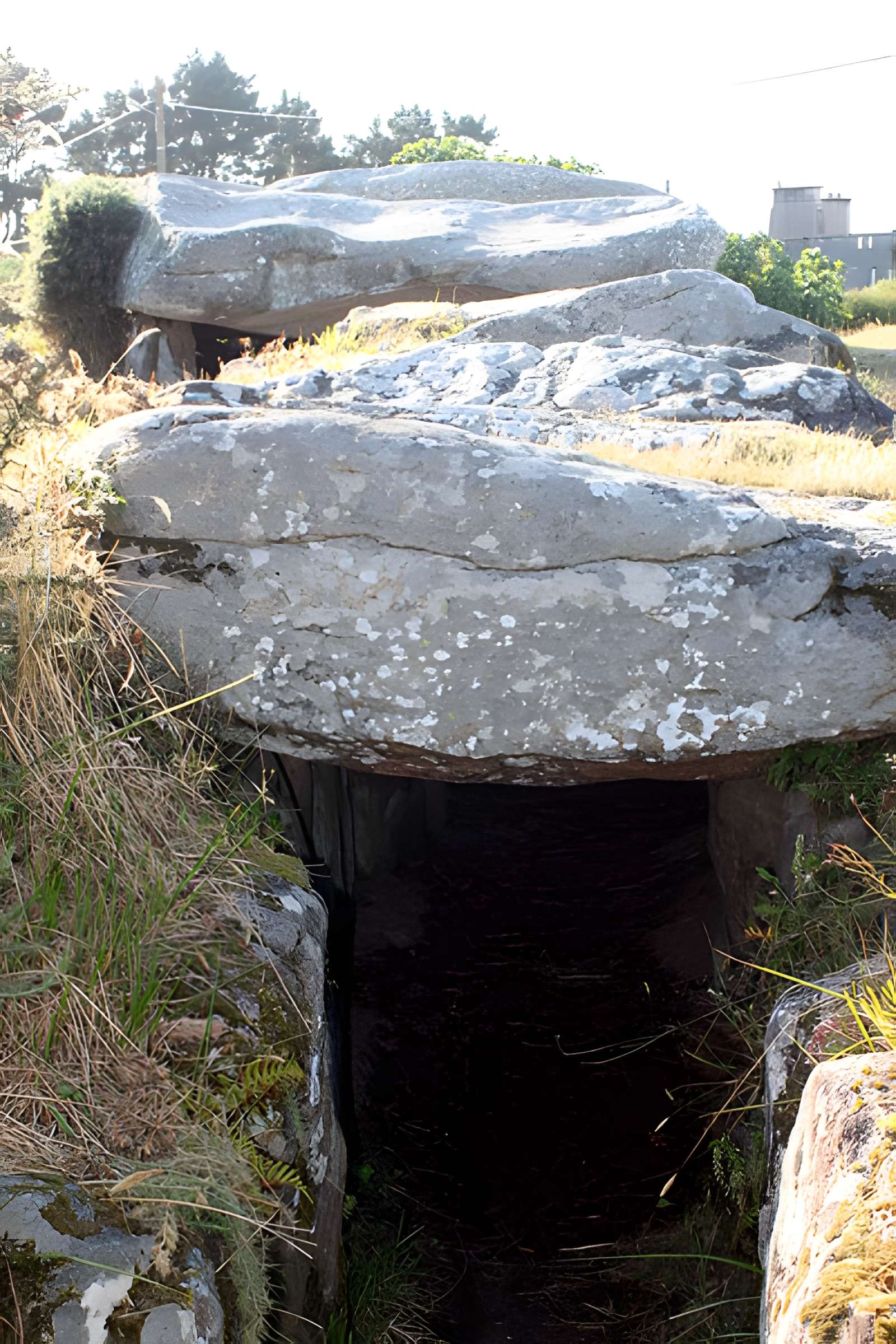 Tumulus de Rondossec à Plouharnel