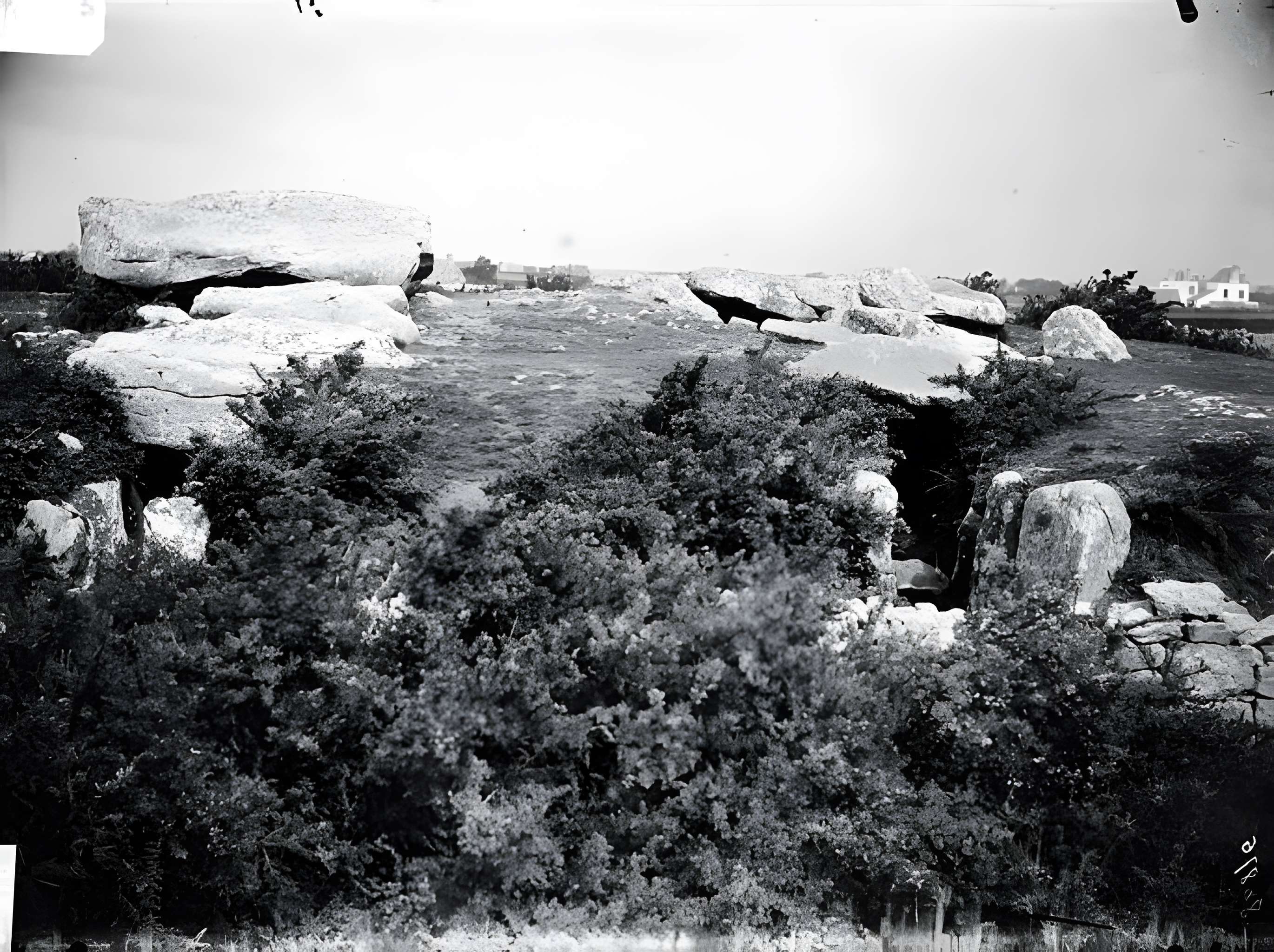 Tumulus de Rondossec à Plouharnel