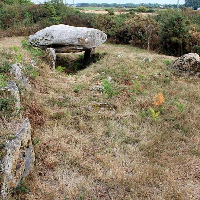 Photo de Tumulus de Run-er-Sinzen à Erdeven