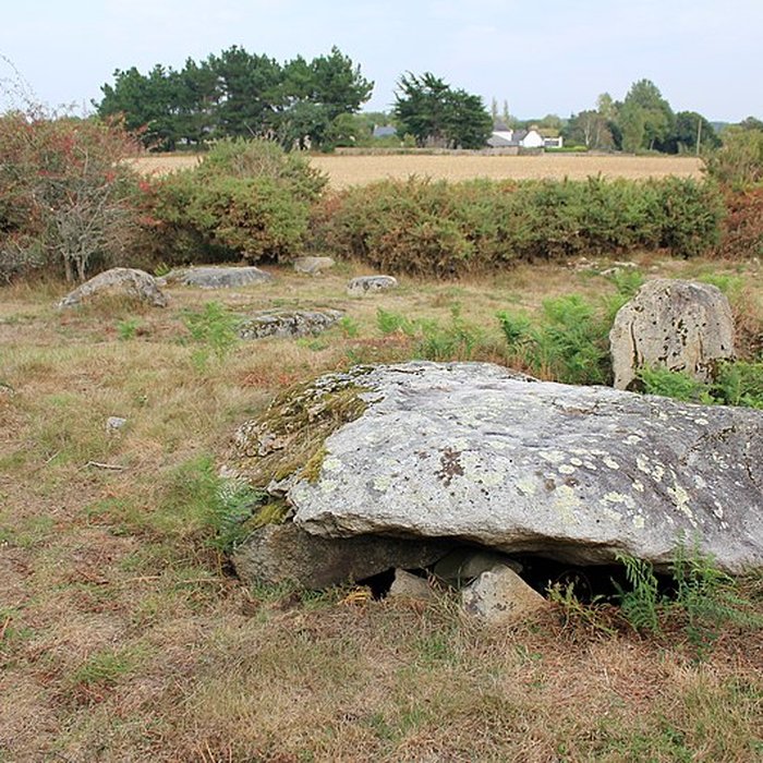 Photo de Tumulus de Run-er-Sinzen à Erdeven
