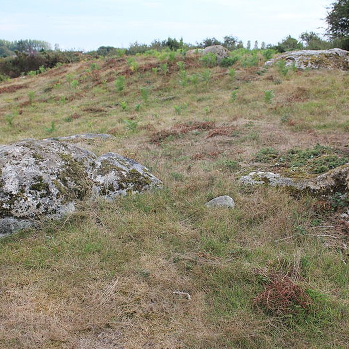 Photo de Tumulus de Run-er-Sinzen à Erdeven