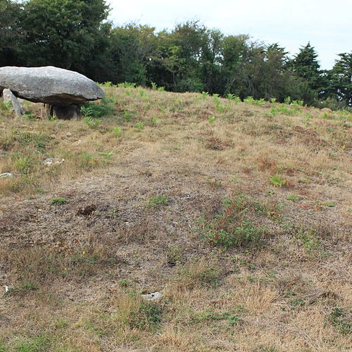 Photo de Tumulus de Run-er-Sinzen à Erdeven