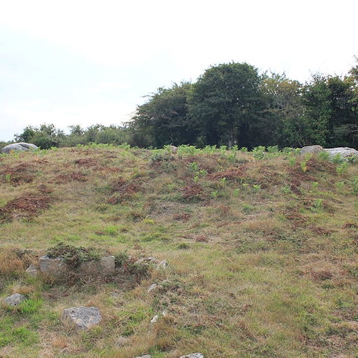 Photo de Tumulus de Run-er-Sinzen à Erdeven