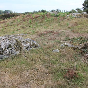 Tumulus de Run-er-Sinzen à Erdeven