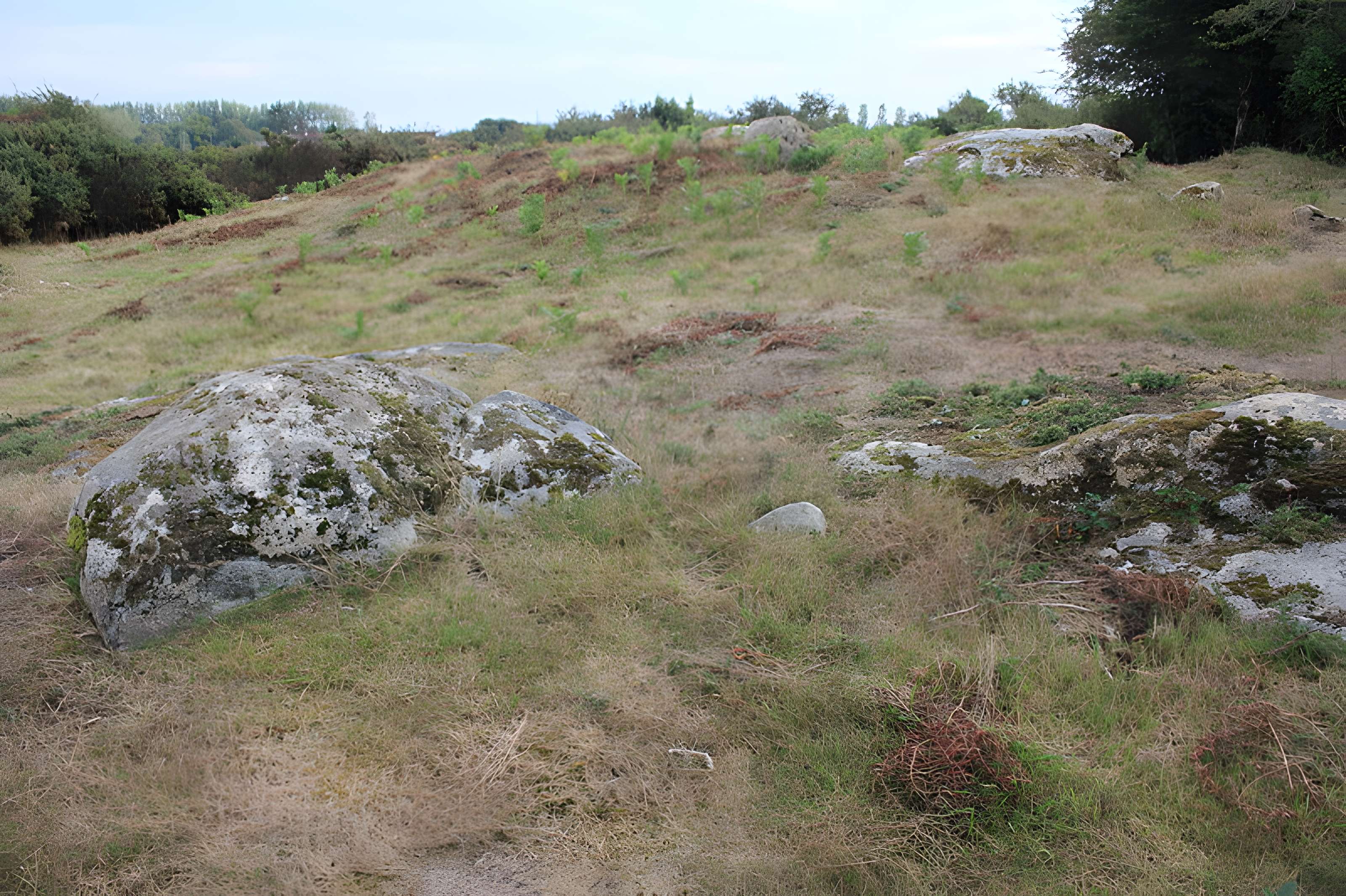 Tumulus de Run-er-Sinzen à Erdeven