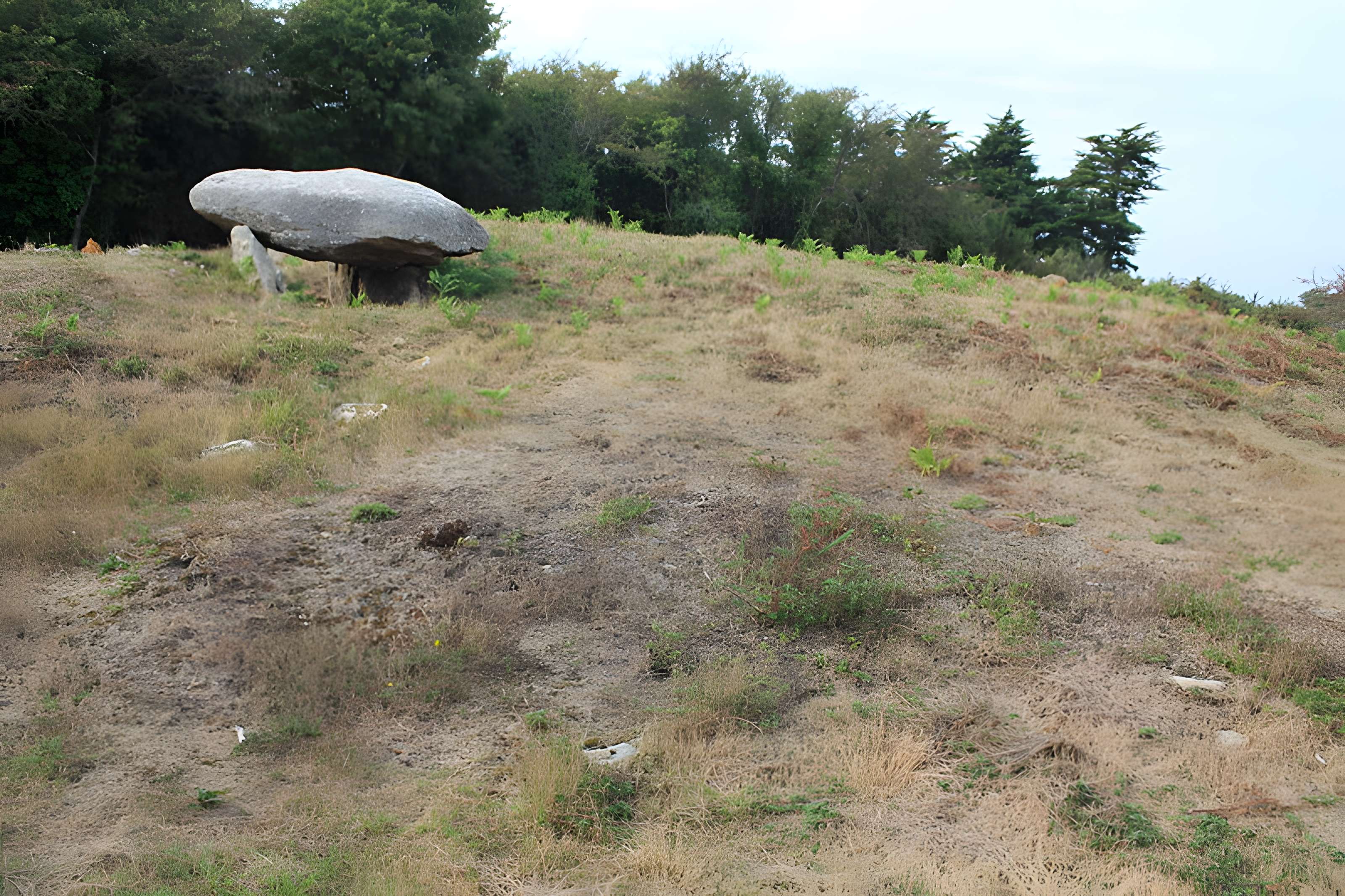 Tumulus de Run-er-Sinzen à Erdeven