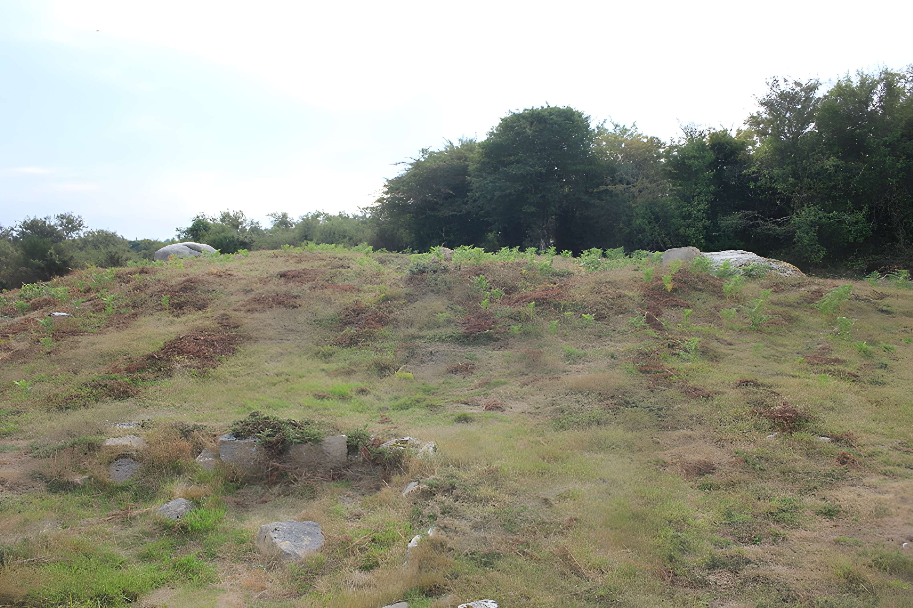 Tumulus de Run-er-Sinzen à Erdeven