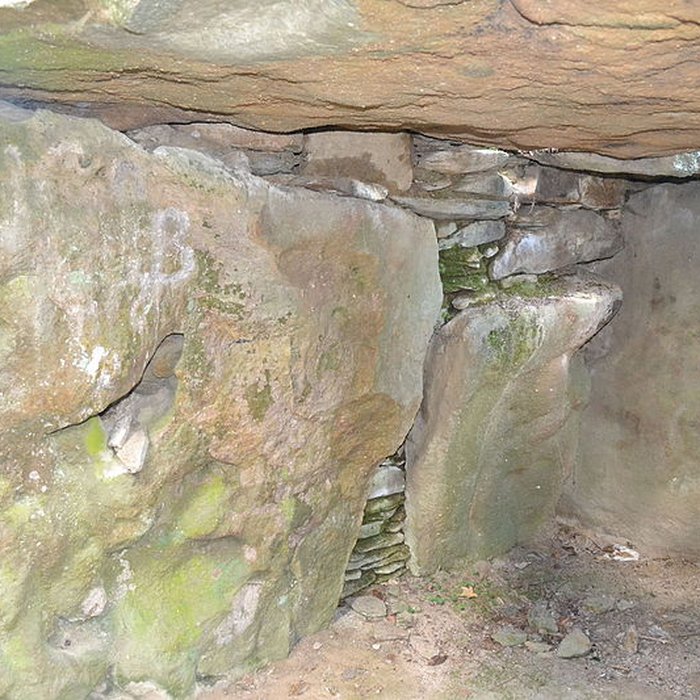 Photo de Tumulus des Mousseaux de Pornic