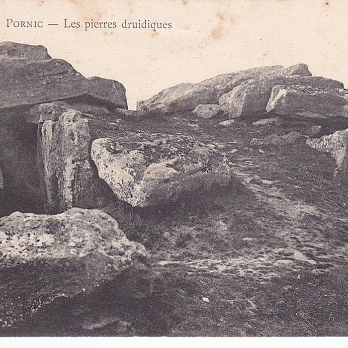 Photo de Tumulus des Mousseaux de Pornic