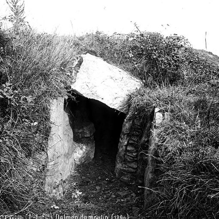 Photo de Tumulus des Mousseaux de Pornic