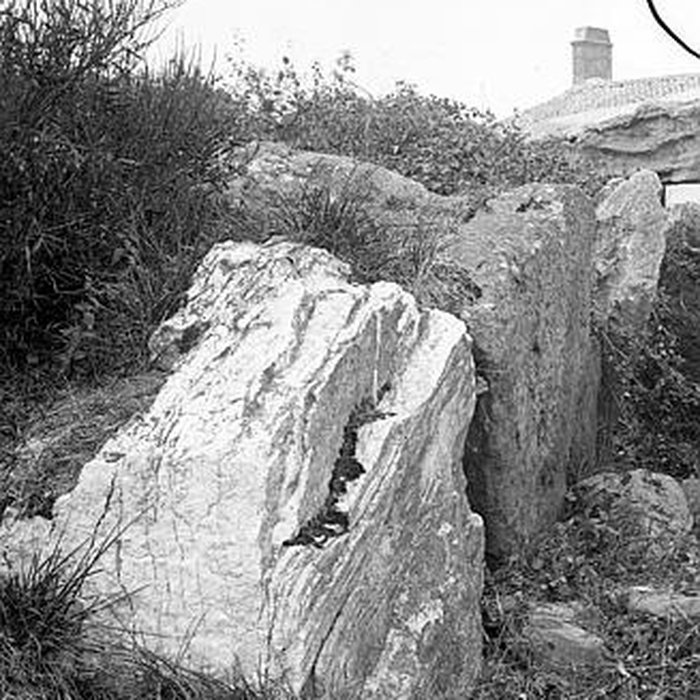 Photo de Tumulus des Mousseaux de Pornic