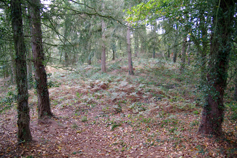 Photo de Tumulus dit La Tour Basse à Plorec-sur-Arguenon