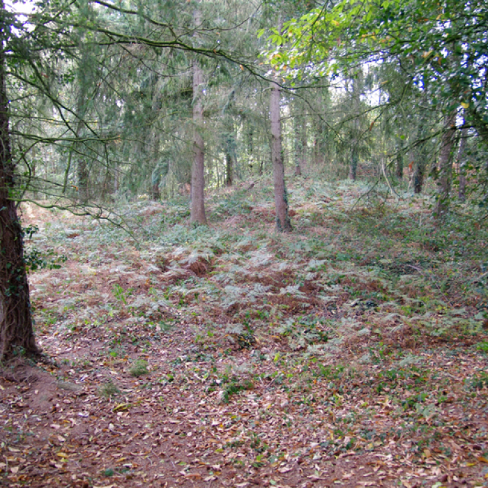 Photo de Tumulus dit La Tour Basse à Plorec-sur-Arguenon
