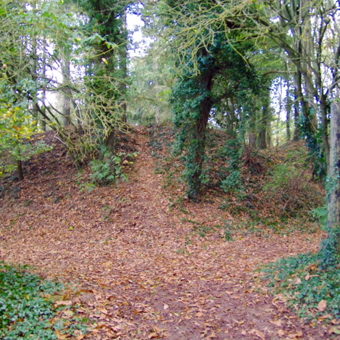Photo de Tumulus dit La Tour Basse à Plorec-sur-Arguenon