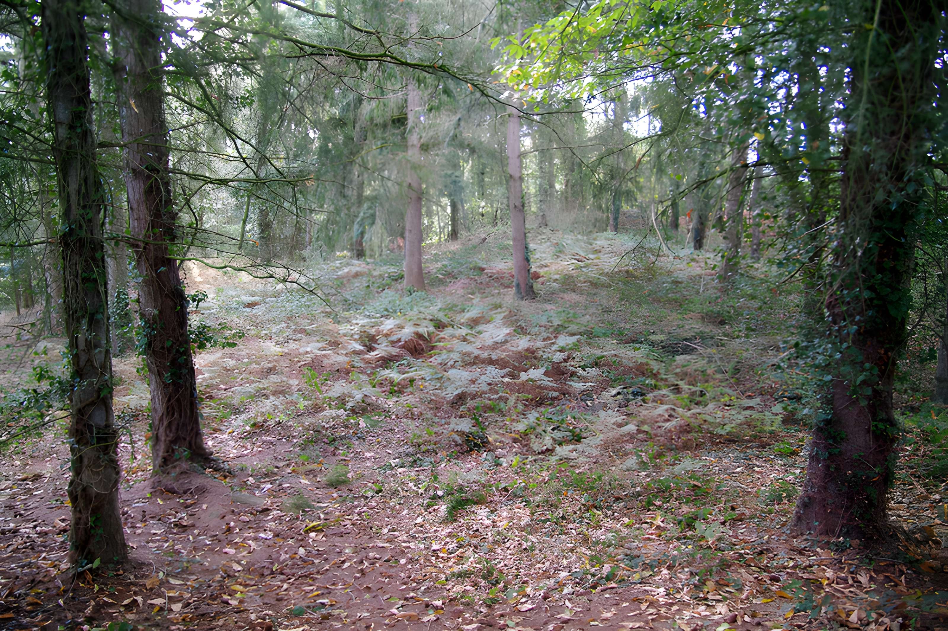 Tumulus dit La Tour Basse à Plorec-sur-Arguenon 