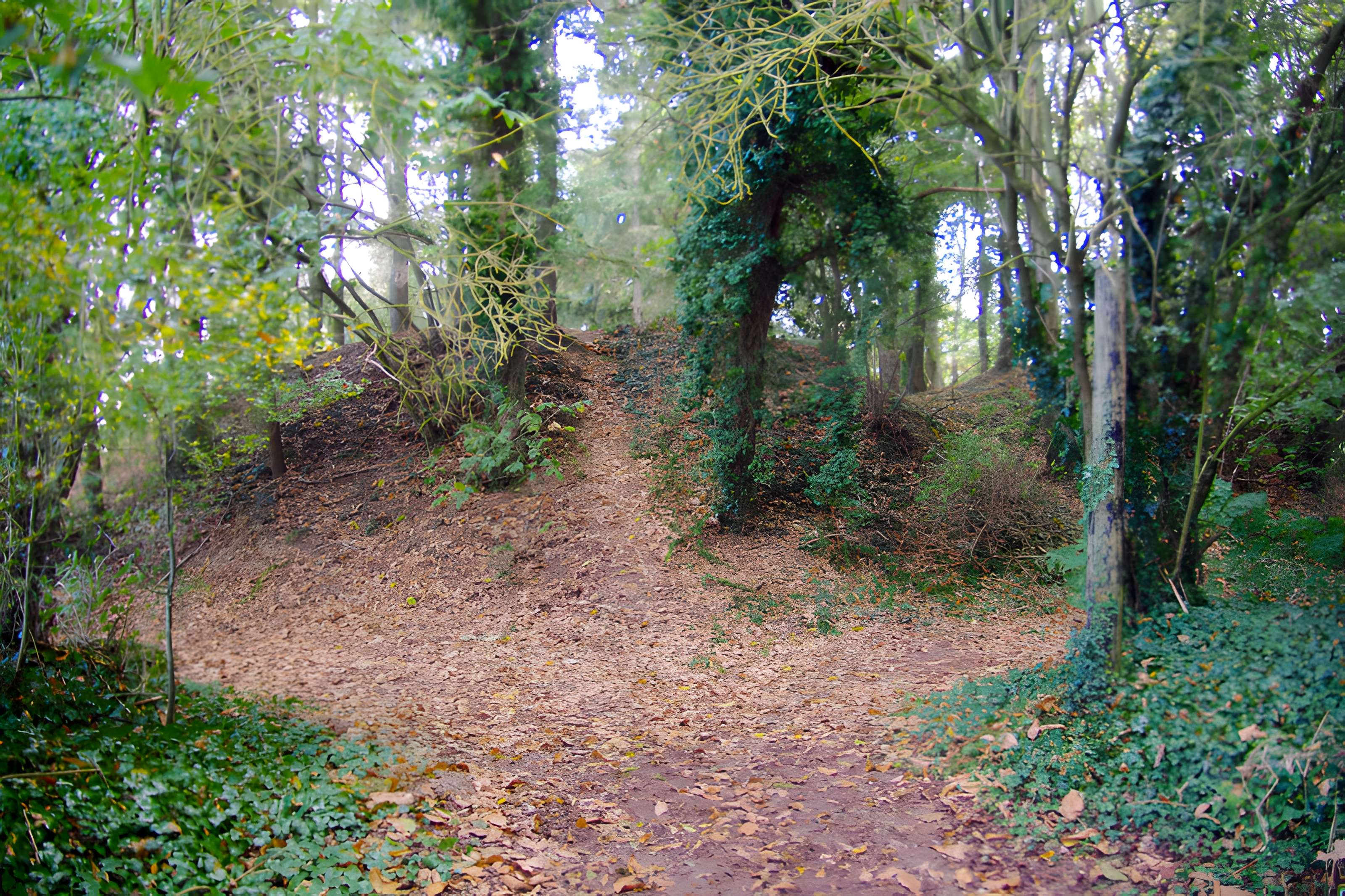 Tumulus dit La Tour Basse à Plorec-sur-Arguenon